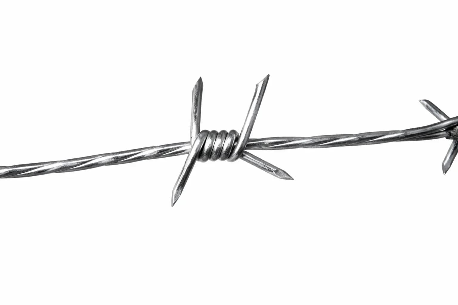 колючая проволока